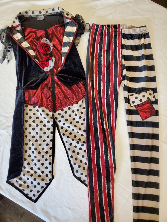Spirit Other - Spirit Halloween Harlequin Jester Costume Girls Sz L 2pc Circus Clown Set